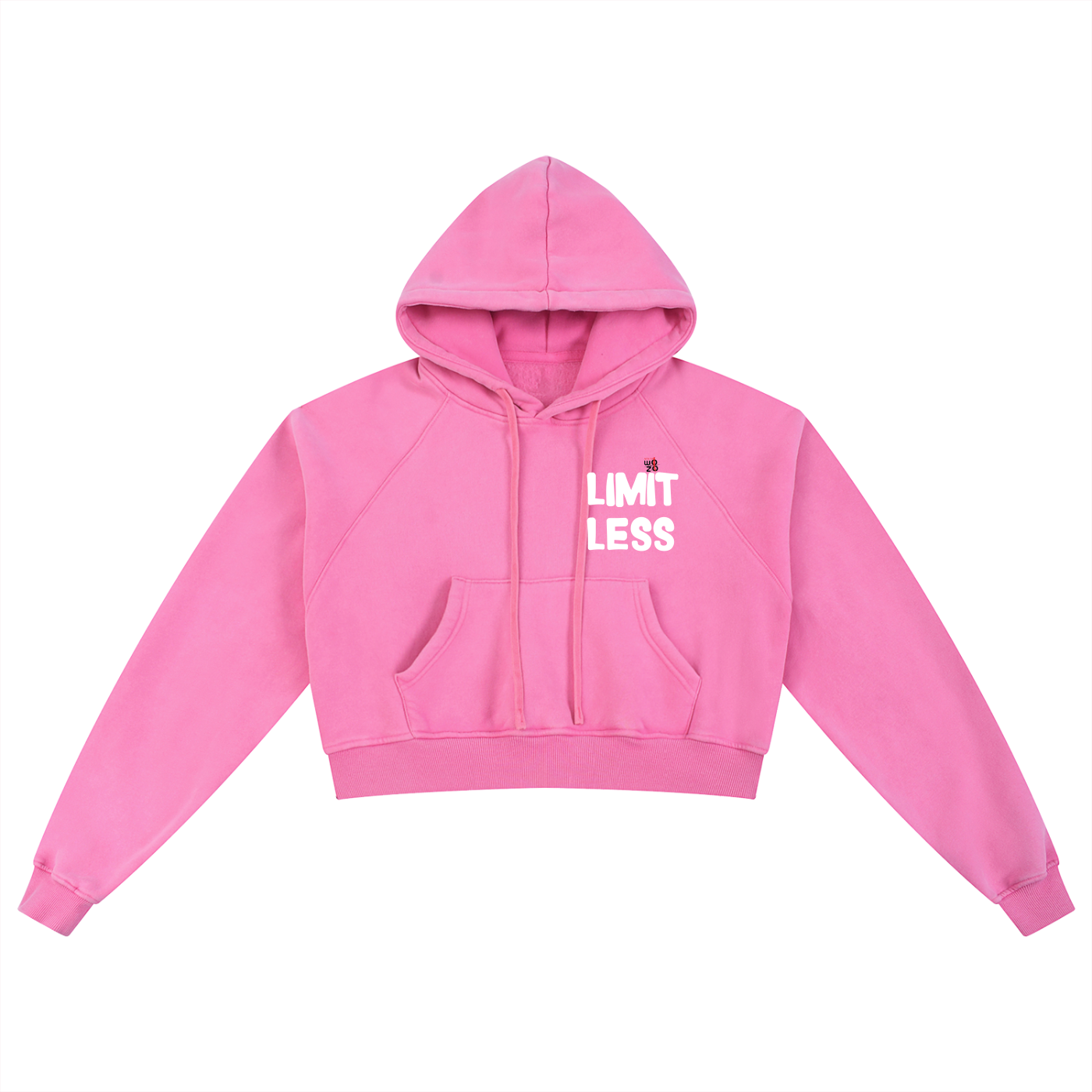 Snow Washed Cropped Hoodie