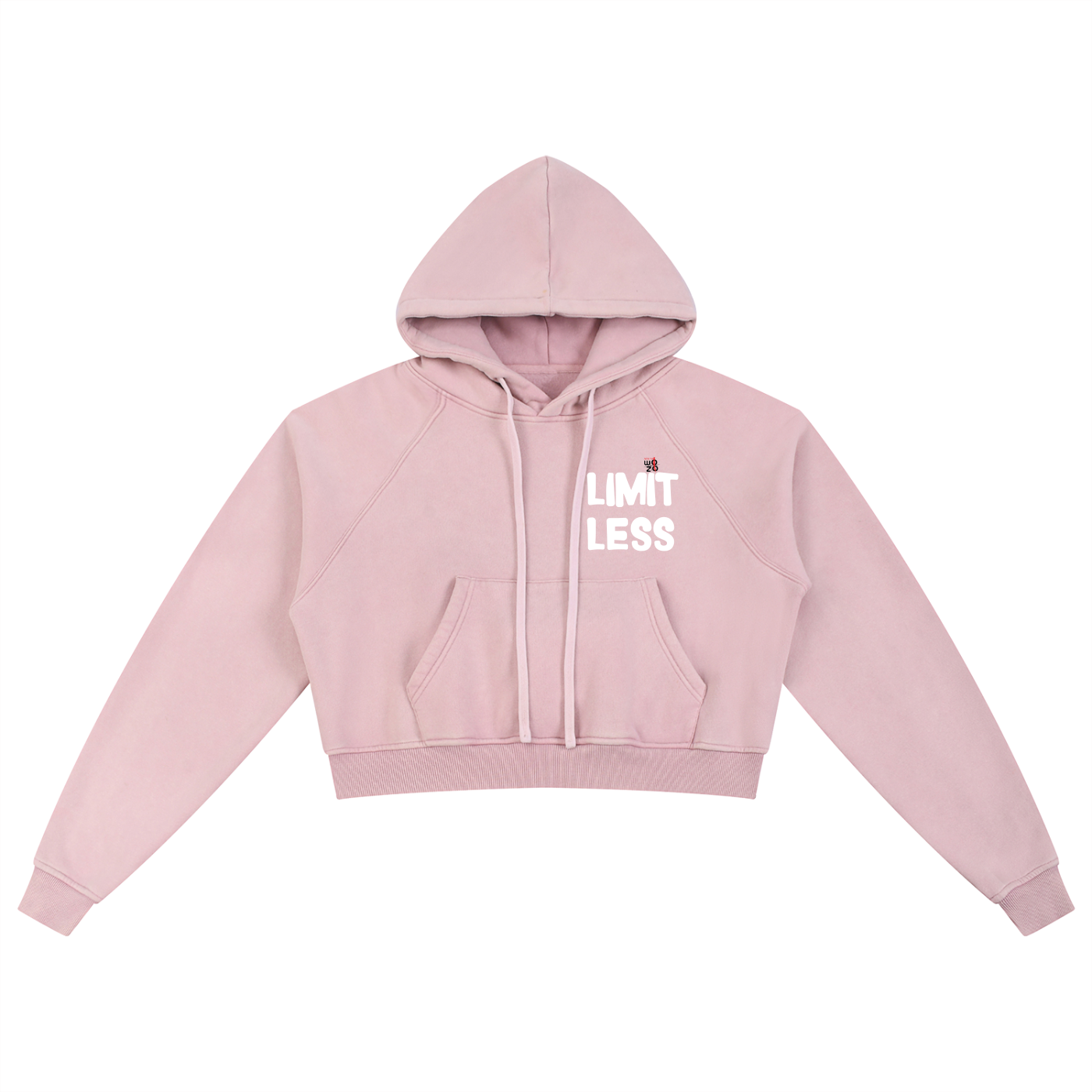 Snow Washed Cropped Hoodie